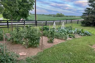 3869 Kentucky 435, Dover, KY 41034 - Photo 43