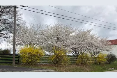 3869 Kentucky 435, Dover, KY 41034 - Photo 37