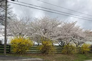 3869 Kentucky 435, Dover, KY 41034 - Photo 37