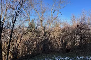 636 Morven Park Dr, Walton, KY 41094 - Photo 3