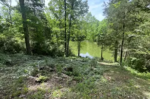 247 Hideaway 245-249 Rd, Owenton, KY 40359 - Photo 7