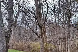 67 Crowell Ave, Fort Thomas, KY 41075 - Photo 33