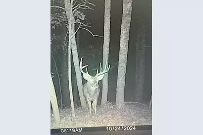 1078 Hamilton Road, Brooksville, KY 41004 - Photo 43