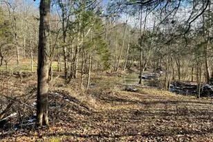 1078 Hamilton Rd, Brooksville, KY 41004 - Photo 39