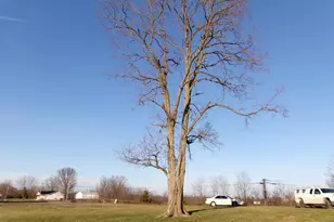 1078 Hamilton Rd, Brooksville, KY 41004 - Photo 21