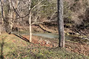 1078 Hamilton Rd, Brooksville, KY 41004 - Photo 47