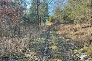 1078 Hamilton Rd, Brooksville, KY 41004 - Photo 31