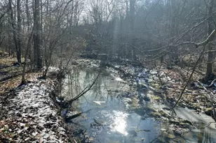 1078 Hamilton Rd, Brooksville, KY 41004 - Photo 33