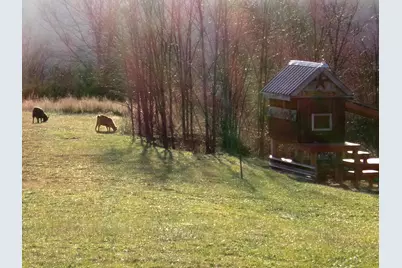 1078 Hamilton Road, Brooksville, KY 41004 - Photo 19