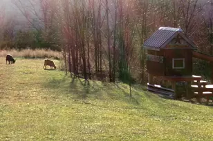 1078 Hamilton Rd, Brooksville, KY 41004 - Photo 19