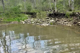 1078 Hamilton Rd, Brooksville, KY 41004 - Photo 33