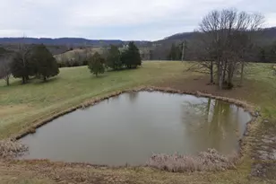 8594 Morehead Rd, Flemingsburg, KY 41041 - Photo 5