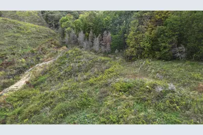 2765 Herman Greene Road, Owenton, KY 40359 - Photo 11