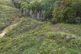 2765 Herman Greene Rd, Owenton, KY 40359 - Photo 11