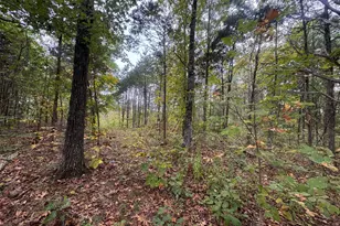 2765 Herman Greene Rd, Owenton, KY 40359 - Photo 15