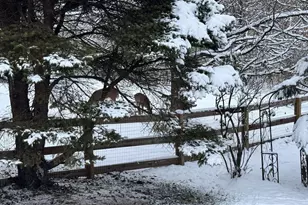 1143 Cecelia Ave, Park Hills, KY 41011 - Photo 33