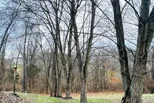 2242 Bluegrama Dr, Burlington, KY 41005 - Photo 39