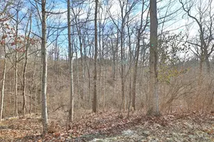 69 Sagebrush Ln, Erlanger, KY 41018 - Photo 41