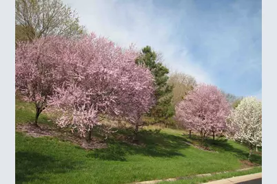 2271 Edenderry Drive, Crescent Springs, KY 41017 - Photo 45