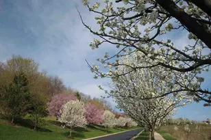 2271 Edenderry Dr, Crescent Springs, KY 41017 - Photo 43