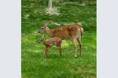 2271 Edenderry Drive, Crescent Springs, KY 41017 - Photo 19