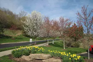 2271 Edenderry Dr, Crescent Springs, KY 41017 - Photo 41