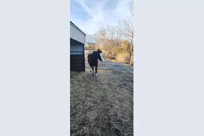 12083 Pleasant Ridge Road, Alexandria, KY 41001 - Photo 15