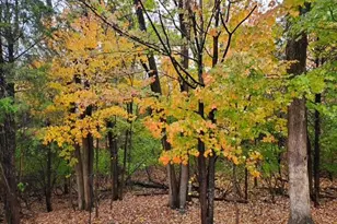 6645 Fairways Dr, Florence, KY 41042 - Photo 27