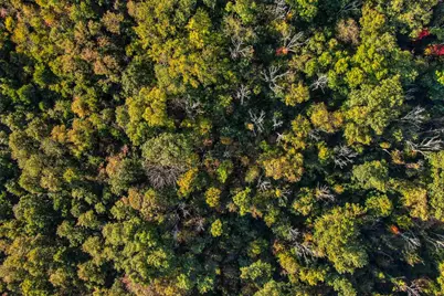 0 Bradford Road, Foster, KY 41043 - Photo 3