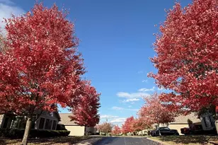 9080 Timberbrook Ln, Florence, KY 41042 - Photo 45