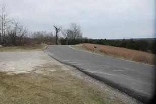 1819 Lenoxburg Rd, Falmouth, KY 41040 - Photo 3