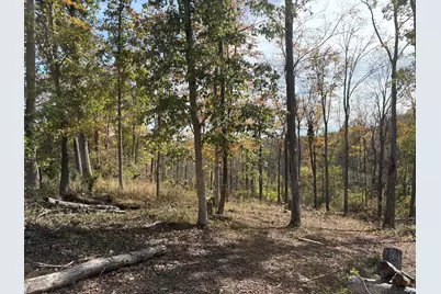 0000 Jonesville Road, Dry Ridge, KY 41035 - Photo 7