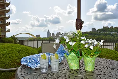 101 Harbor Greene Drive #W405, Bellevue, KY 41073 - Photo 3