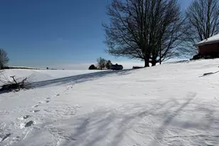 3620 Willow Neave Rd, Falmouth, KY 41040 - Photo 21