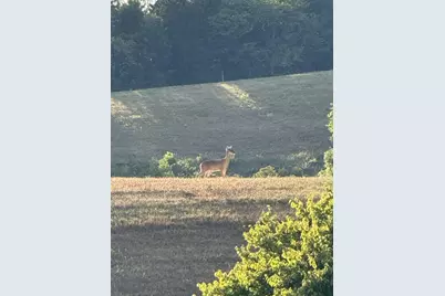 408 New Hope Road, Foster, KY 41043 - Photo 37