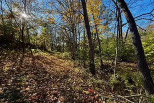 929 Fisher Rd, Foster, KY 41043 - Photo 39