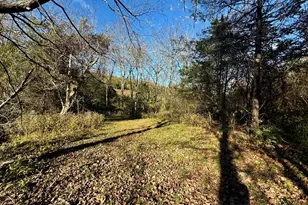 929 Fisher Rd, Foster, KY 41043 - Photo 49