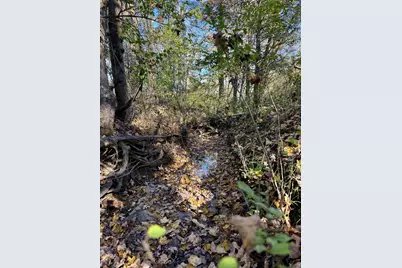 929 Fisher Road, Foster, KY 41043 - Photo 23