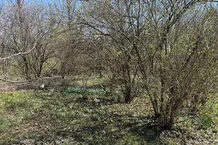 352 Rose Dr, Alexandria, KY 41001 - Photo 21