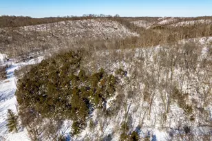 0 Lockmier 12+/- Acres Rd, Augusta, KY 41002 - Photo 1