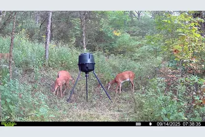 57 +/- Acres Conley Road, Morningview, KY 41063 - Photo 13