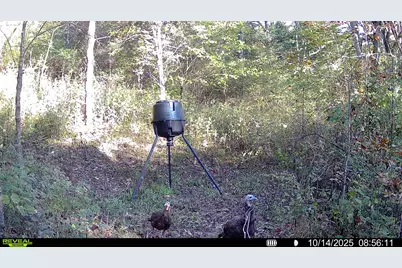 57 +/- Acres Conley Road, Morningview, KY 41063 - Photo 33