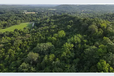 57 +/- Acres Conley Road, Morningview, KY 41063 - Photo 11