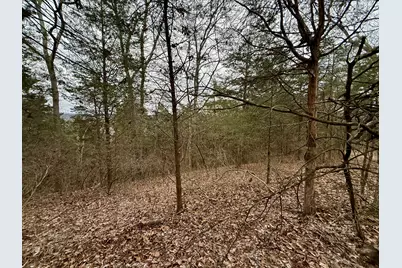 57 +/- Acres Conley Road, Morningview, KY 41063 - Photo 15