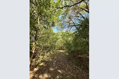 57 +/- Acres Conley Road, Morningview, KY 41063 - Photo 45