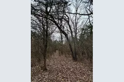 57 +/- Acres Conley Road, Morningview, KY 41063 - Photo 25