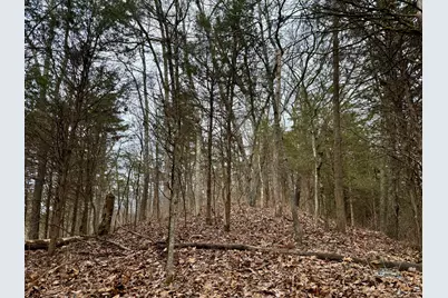 57 +/- Acres Conley Road, Morningview, KY 41063 - Photo 39