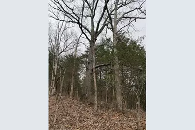 57 +/- Acres Conley Road, Morningview, KY 41063 - Photo 17