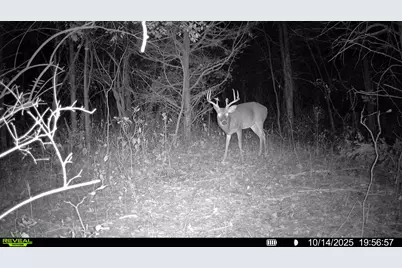 57 +/- Acres Conley Road, Morningview, KY 41063 - Photo 21