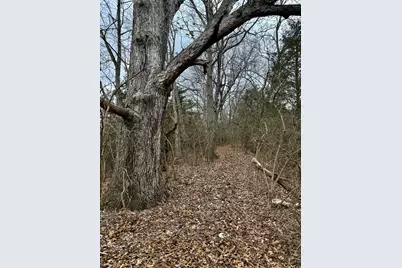 57 +/- Acres Conley Road, Morningview, KY 41063 - Photo 23